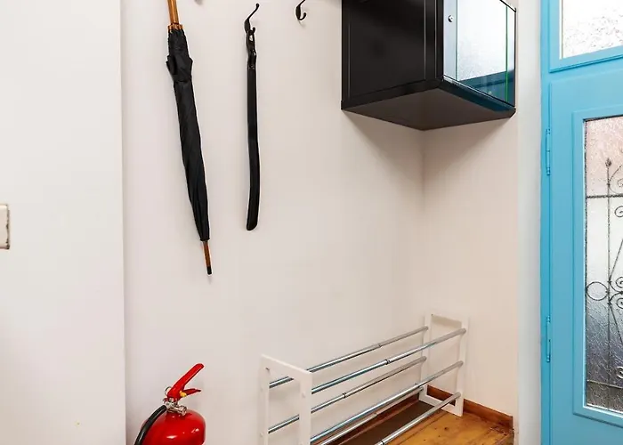 Kosmos In The Area In * 普罗夫迪夫